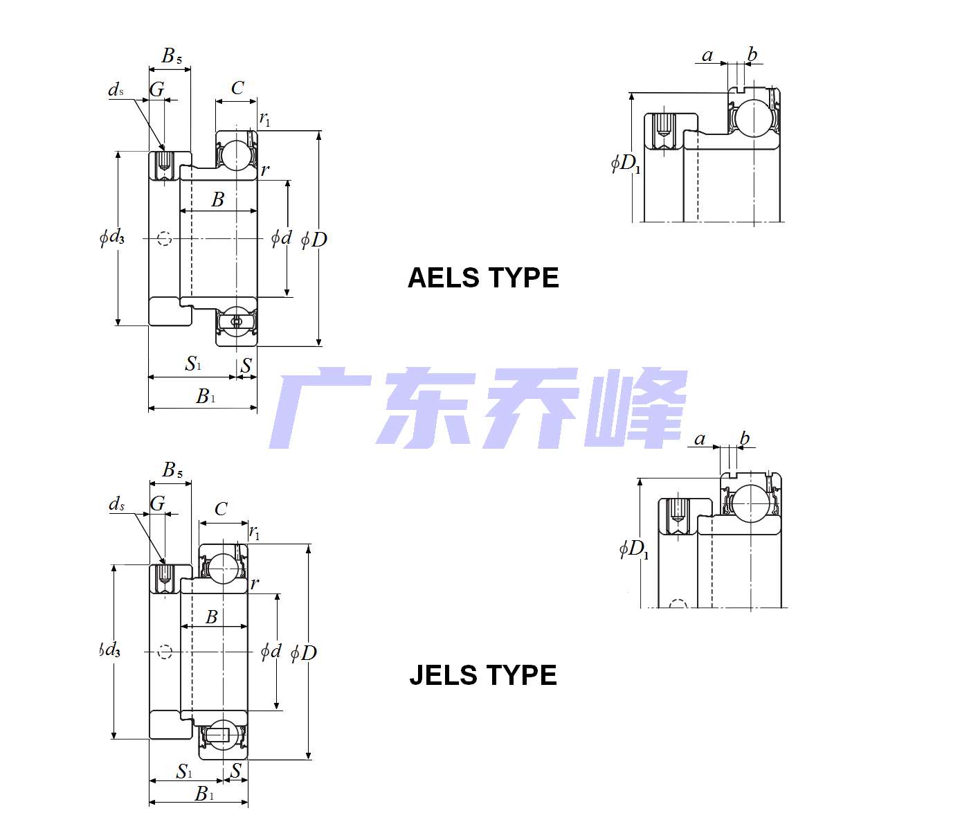 NTN AELS202-010N轴承图纸