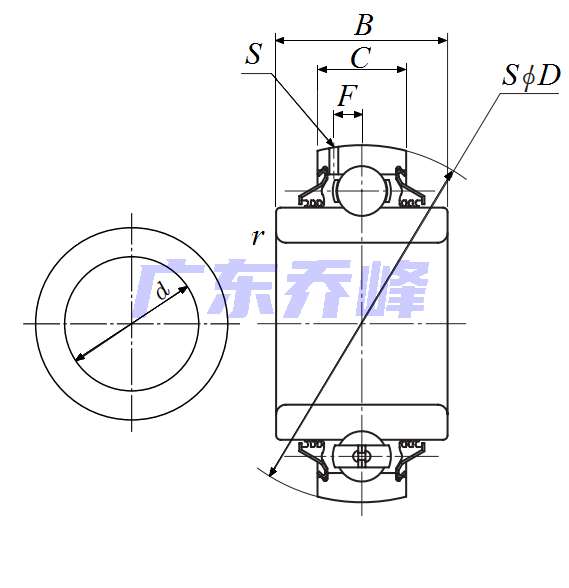 NTN DS211TTR8R轴承图纸