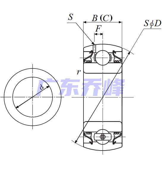 NTN DS210TTR2轴承图纸