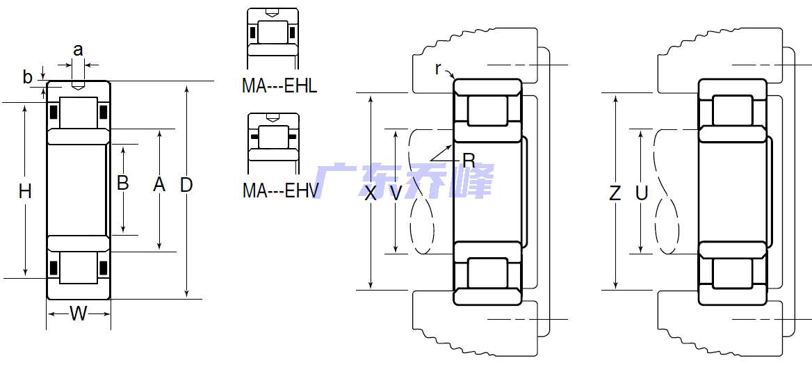 NTN MA1312EHL轴承图纸
