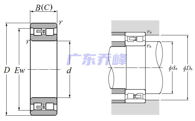 NTN NN3026C1NAP5轴承图纸