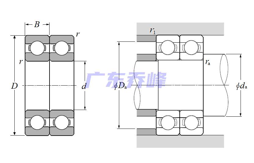 NTN 6009PX9V21D2轴承图纸