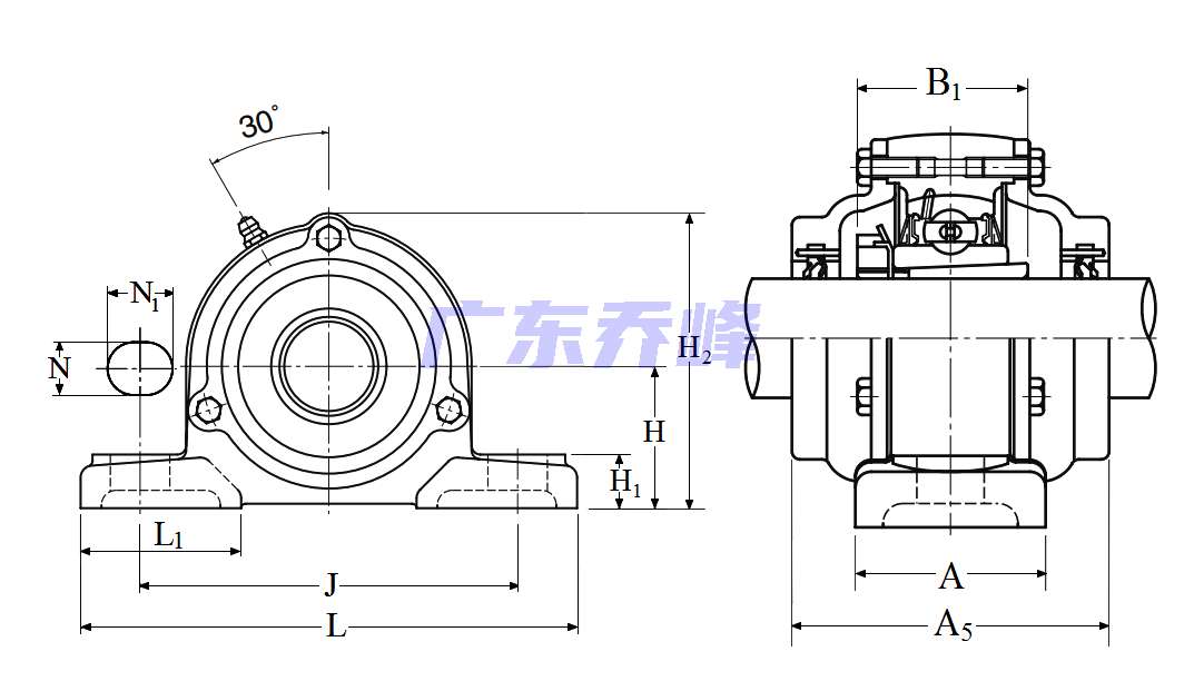 NTN C-UKP316AD1 (when used with HA2316)轴承图纸