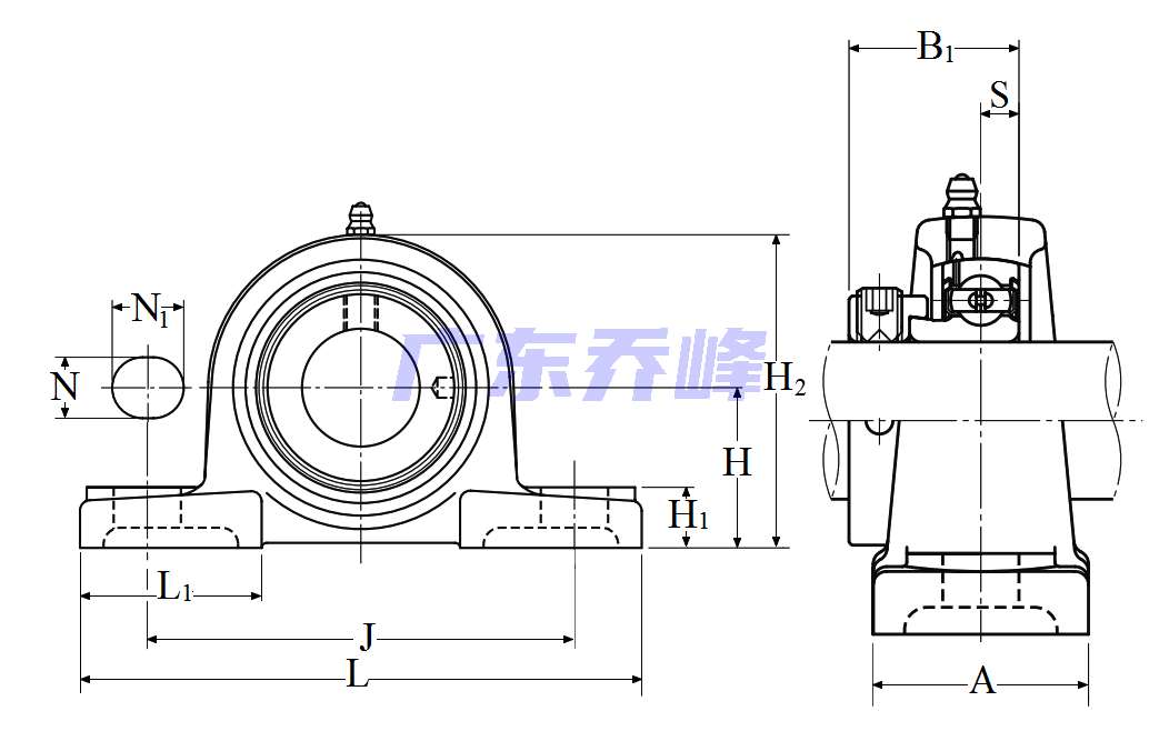 NTN AELP209-111D1轴承图纸