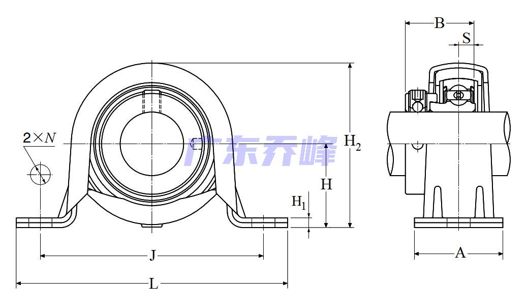 NTN AELRPP202-009轴承图纸