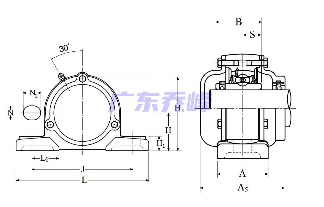 NTN CM-UCP215-300D1轴承图纸