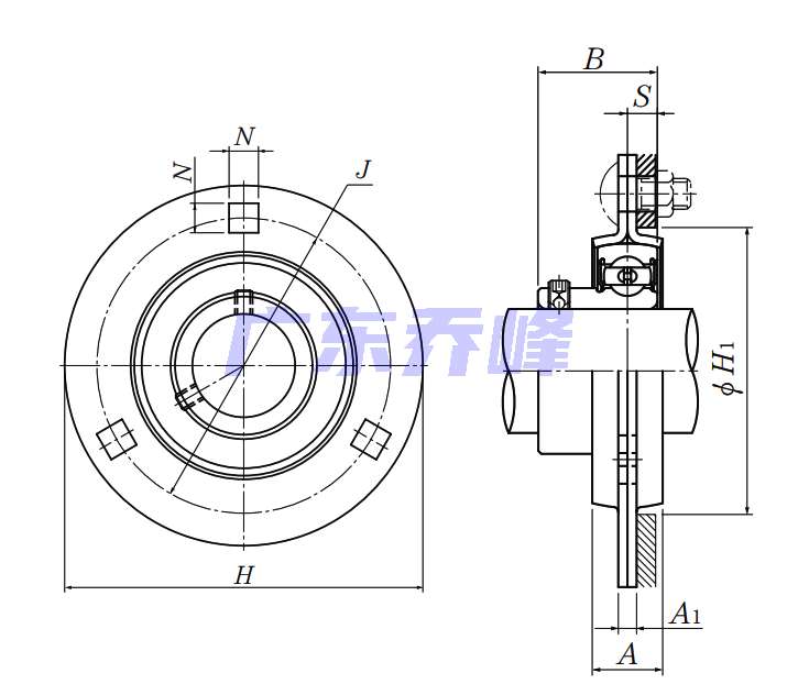 NTN ASPF202-009轴承图纸