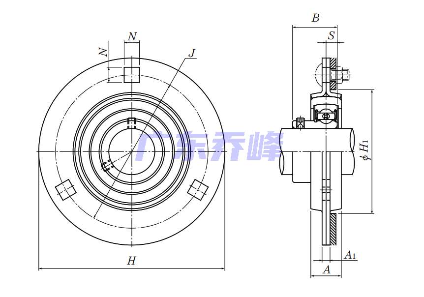 NTN ASRPF202-009轴承图纸