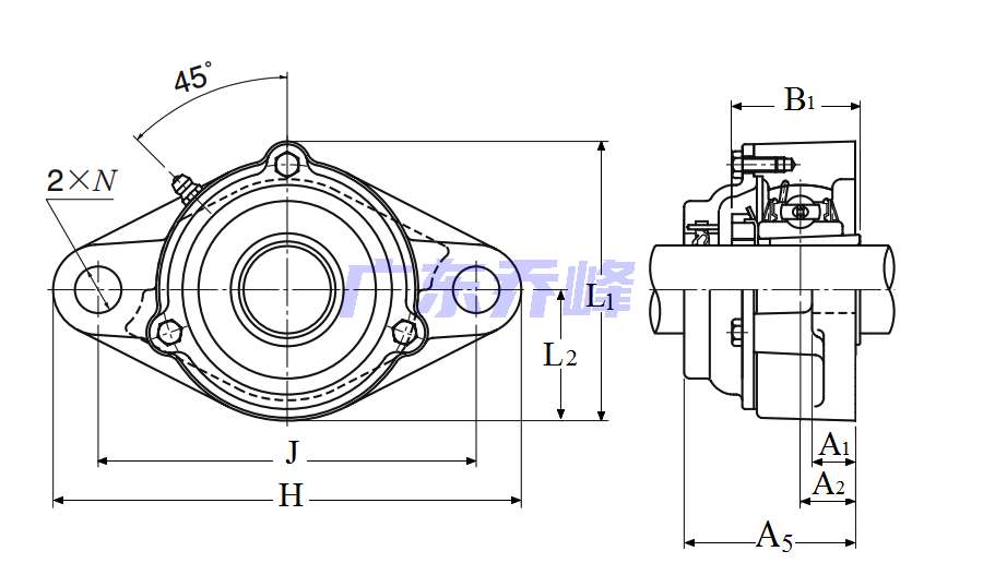 NTN C-UKFL207D1 (when used with HS2307)轴承图纸